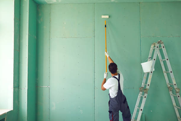 Trusted Holden, MO Mold Removal Experts