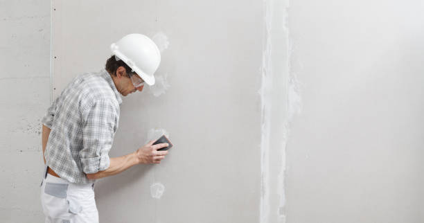 Best Biohazard Mold Removal  in Holden, MO