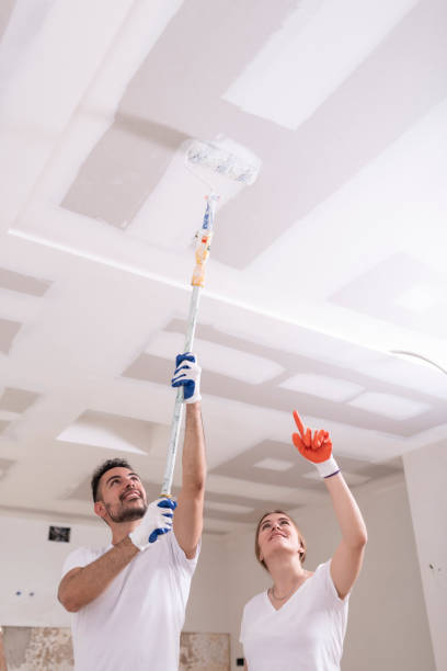 Best Attic Mold Removal  in Holden, MO