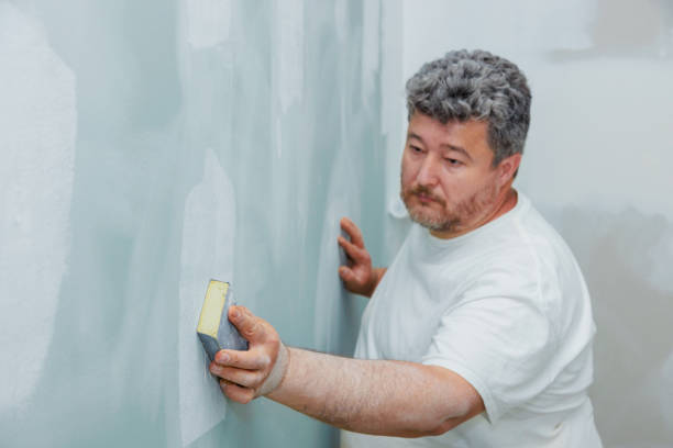 Best Residential Mold Inspection & Testing  in Holden, MO