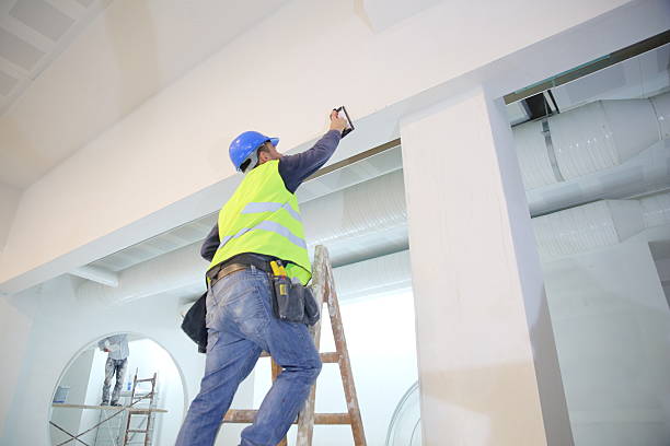 Best Emergency Mold Remediation  in Holden, MO