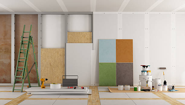 Best Industrial Mold Remediation  in Holden, MO