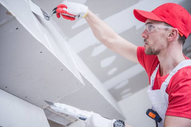 Best Residential Mold Inspection & Testing  in Holden, MO